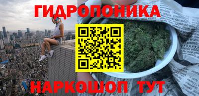 молекула духа Бузулук