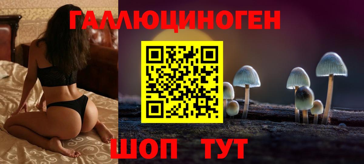 Галлюциногенные грибы Magic Shrooms  Вход с VPN  Псилоцибиновые грибы мицелий  Истра 